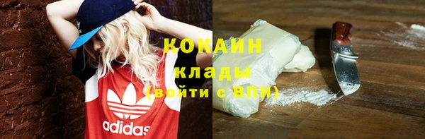 трава Балахна