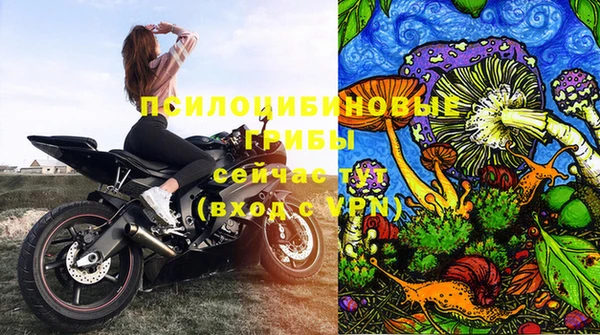 трава Балахна