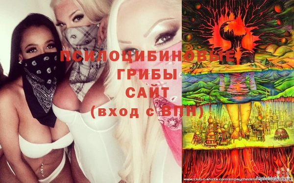 стаф Балабаново