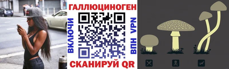 Галлюциногенные грибы Cubensis  маркетплейс наркотические препараты  Кировск  купить наркотики цена 