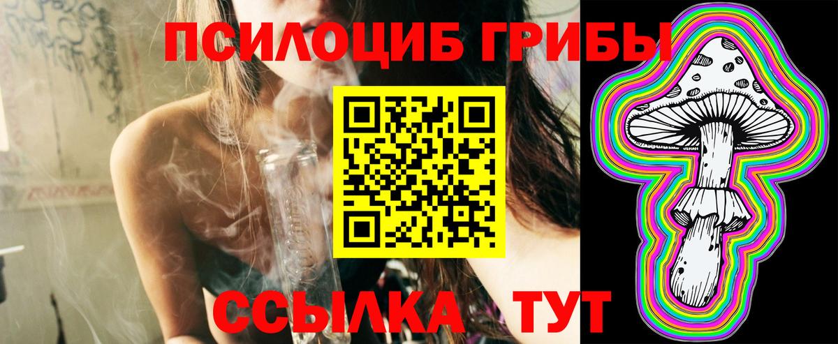 Кировск  Галлюциногенные грибы Psilocybe  Вход с VPN 